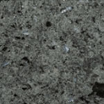 Antonlini-5